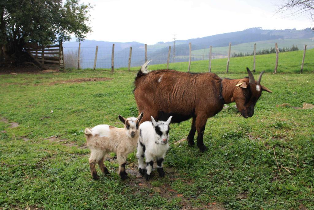 Casa Rural Ecologica Arrizurieta Bermeo Luaran gambar